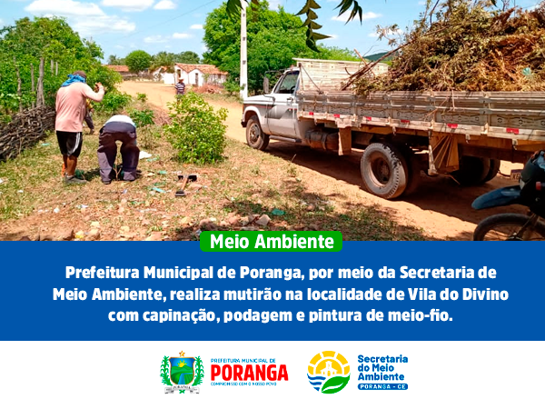 Secretaria de Meio Ambiente, realiza mutirão na localidade de Vila do Divino.